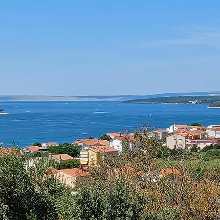 Vikica
