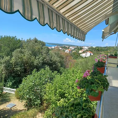 Vikica * Barbat na Rabu