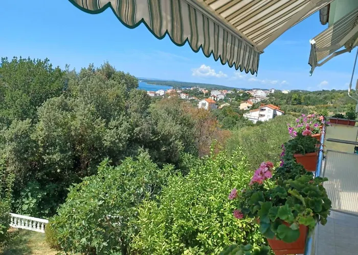 Vikica * Barbat na Rabu